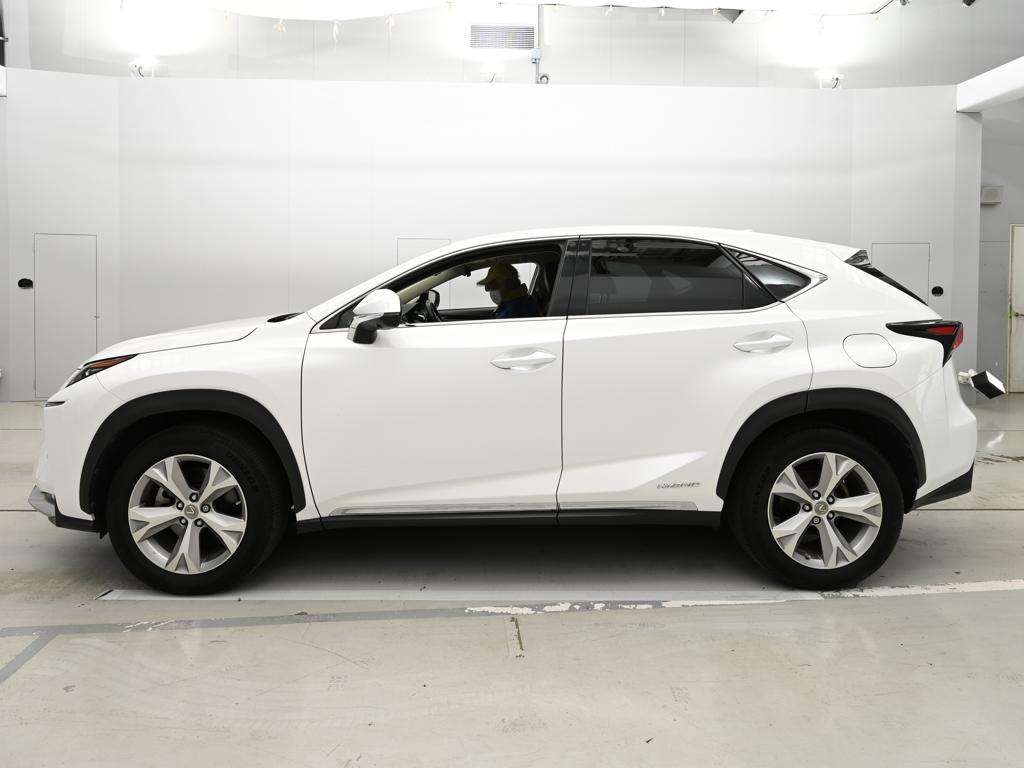LEXUS NX300H
