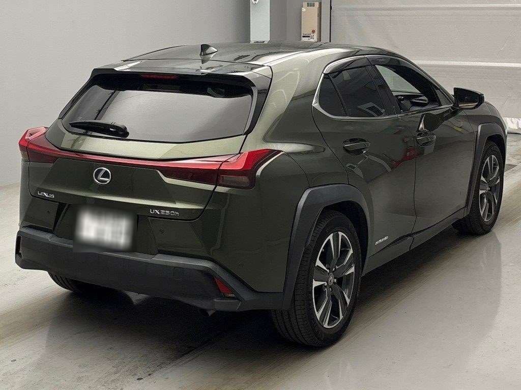 LEXUS UX250H