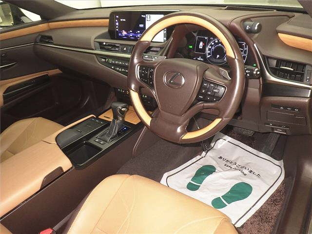 LEXUS ES300H