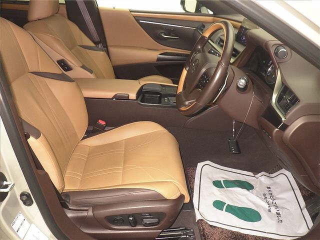 LEXUS ES300H