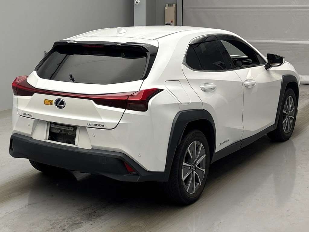 LEXUS UX300E