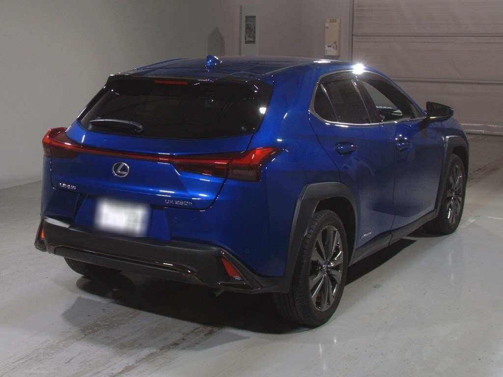 LEXUS UX250H