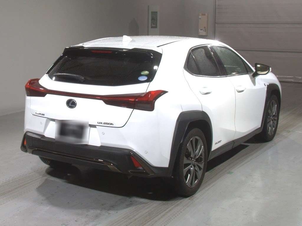 LEXUS UX250H