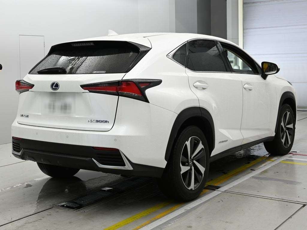 LEXUS NX300
