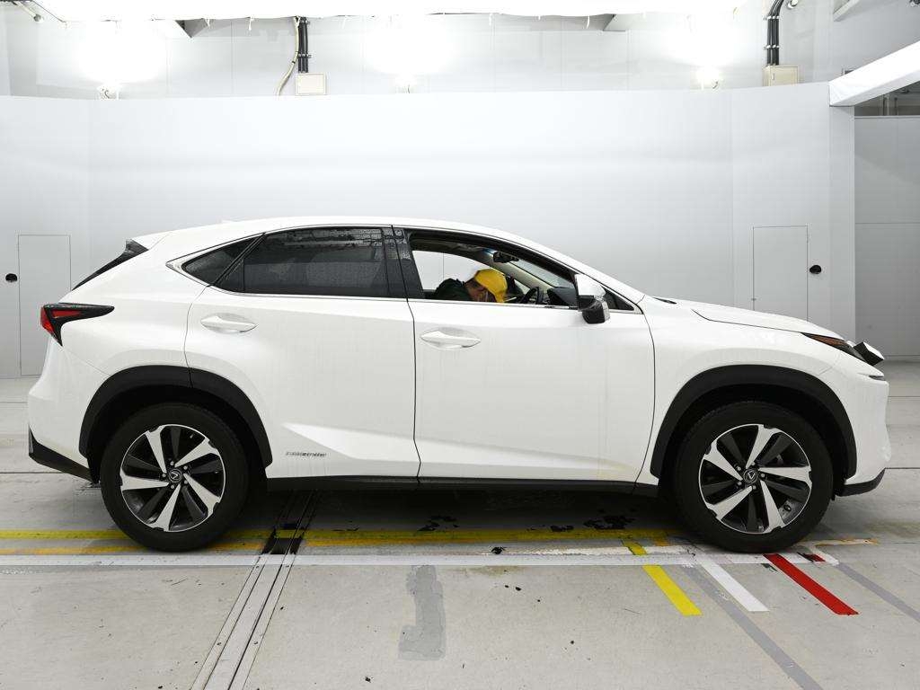 LEXUS NX300