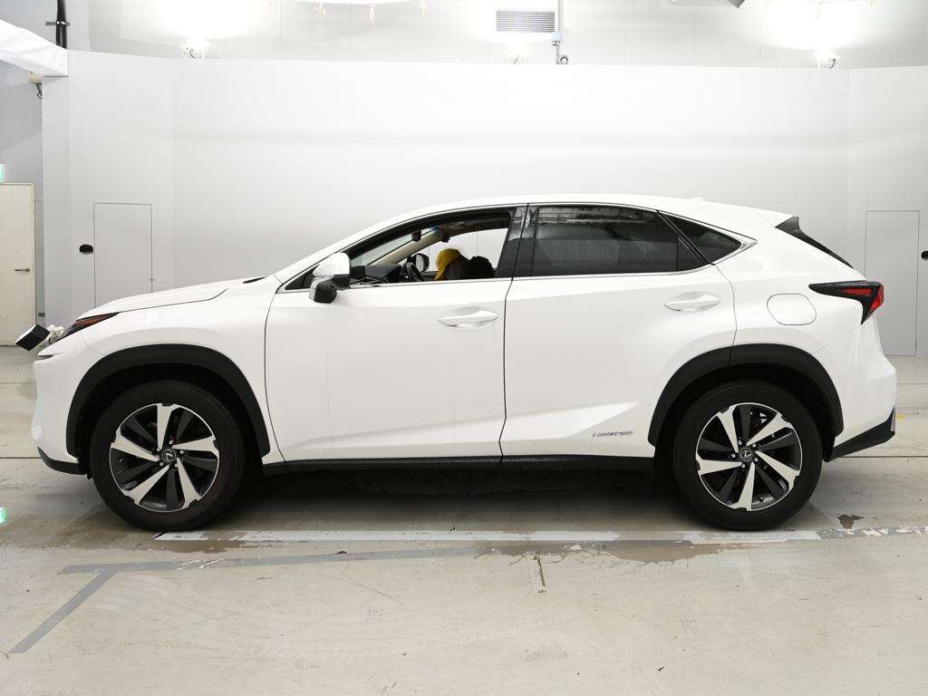 LEXUS NX300