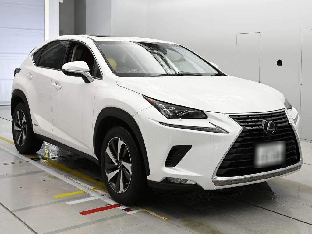 LEXUS NX300