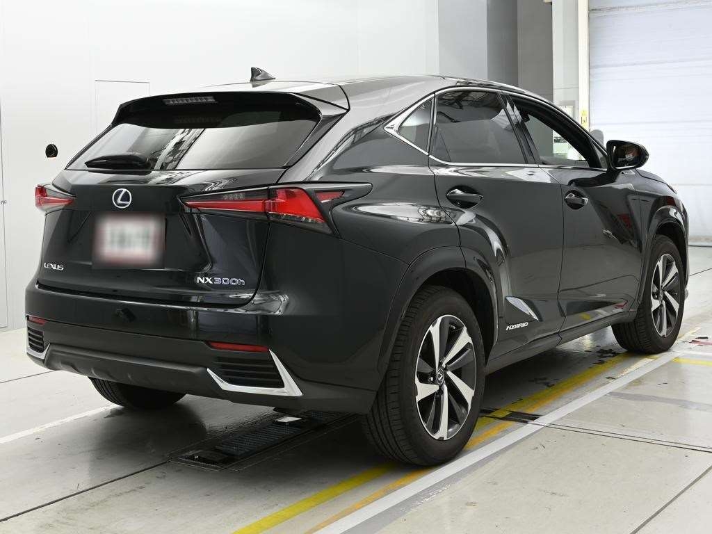 LEXUS NX300H