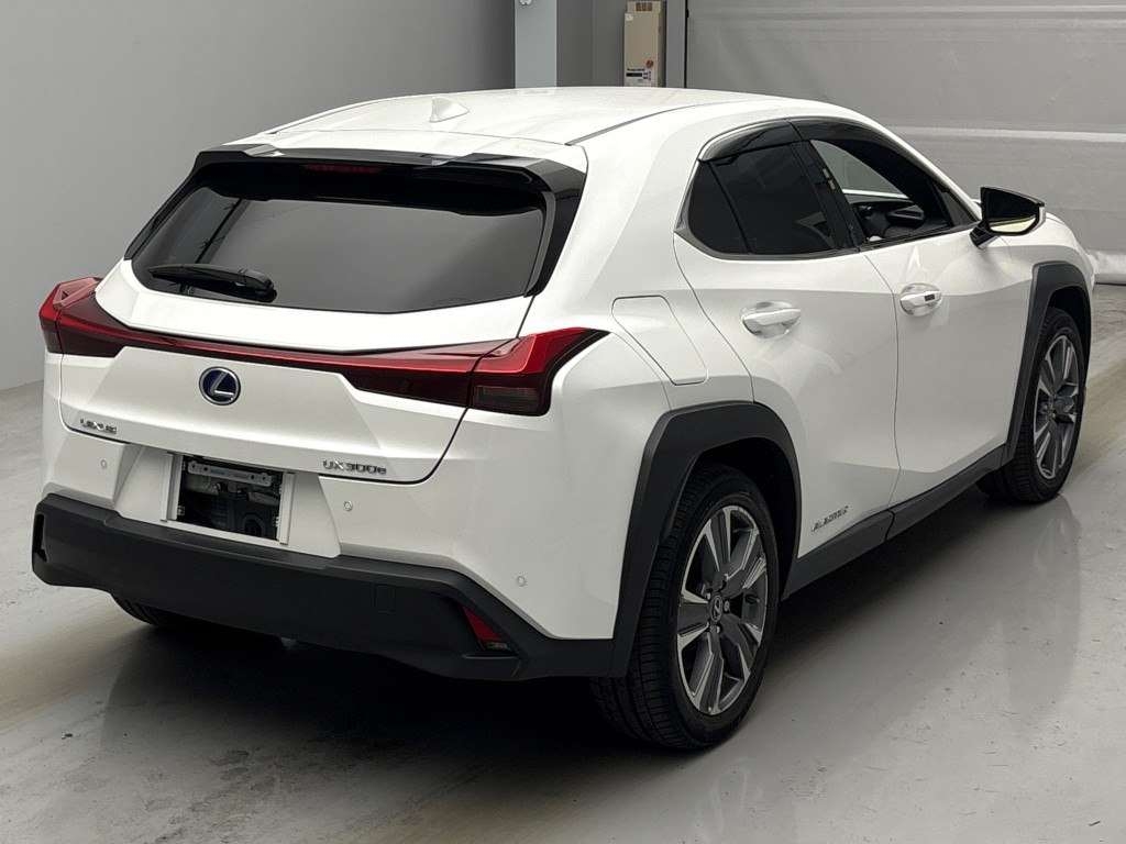 LEXUS UX300E