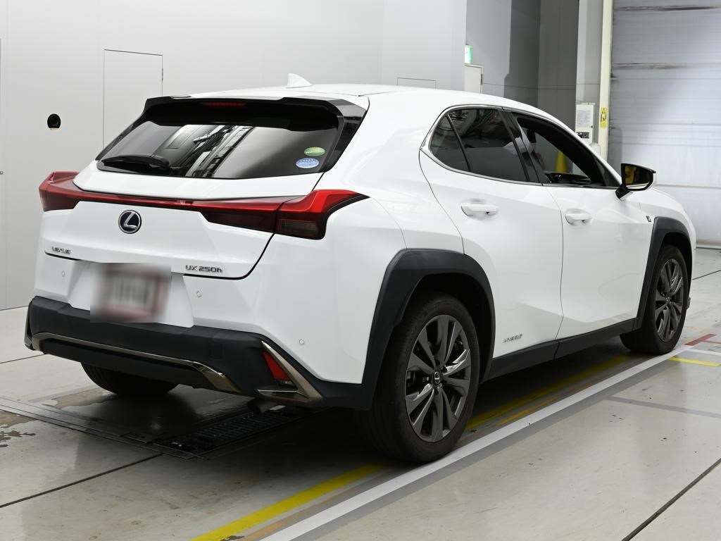 LEXUS UX250H