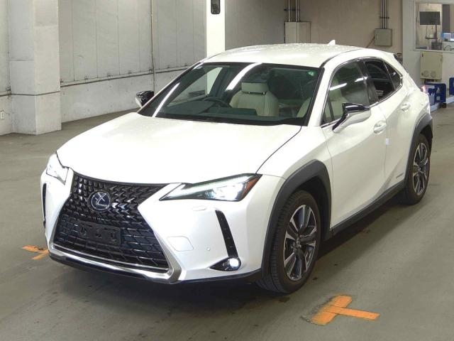 LEXUS UX250H
