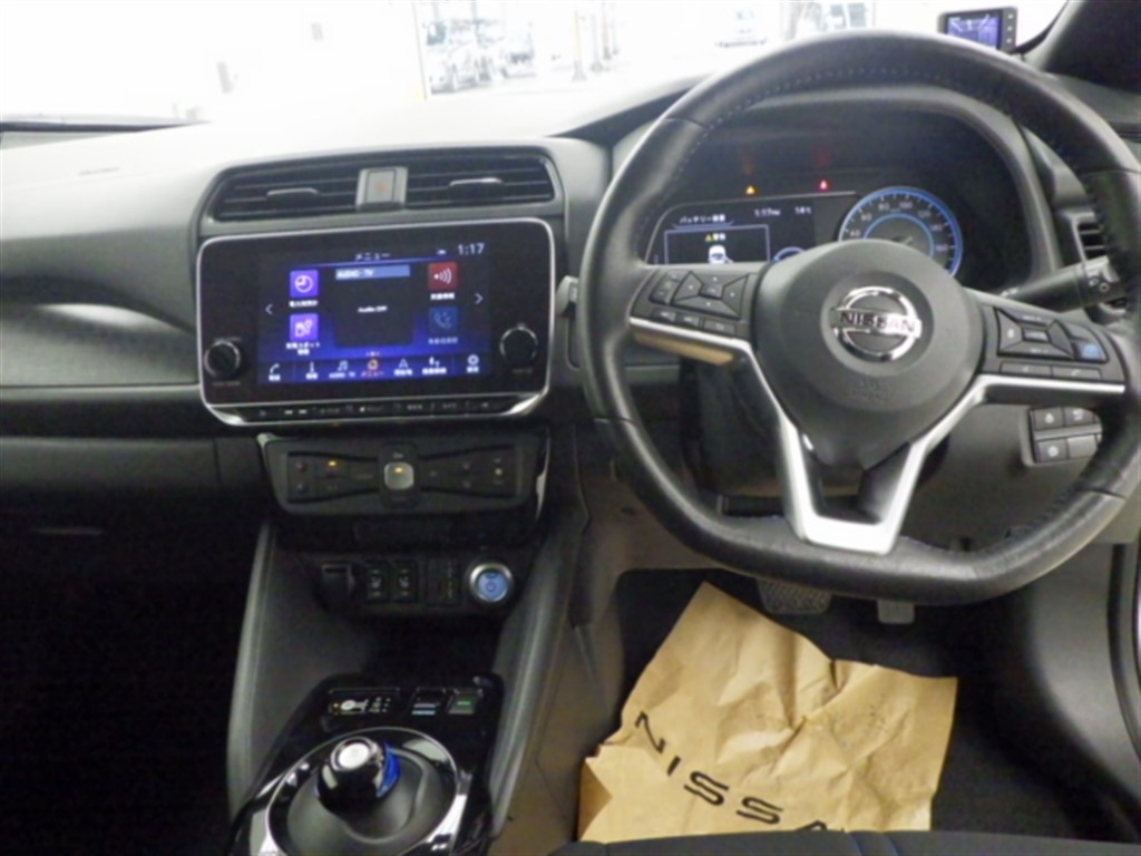 NISSAN LEAF