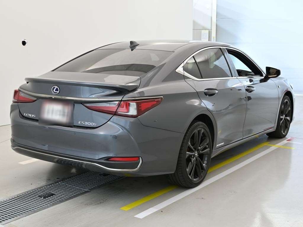 LEXUS ES300H
