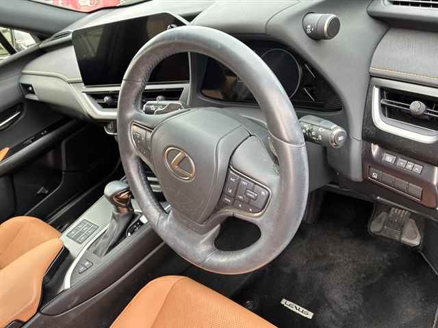 LEXUS UX250H