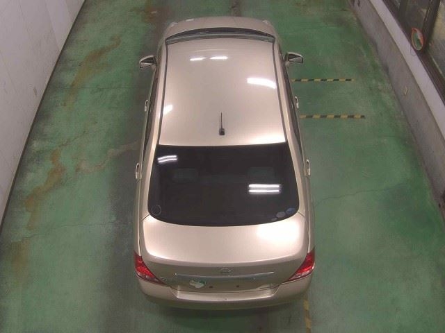 NISSAN TIIDA LATIO
