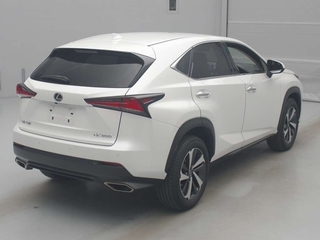 LEXUS NX300