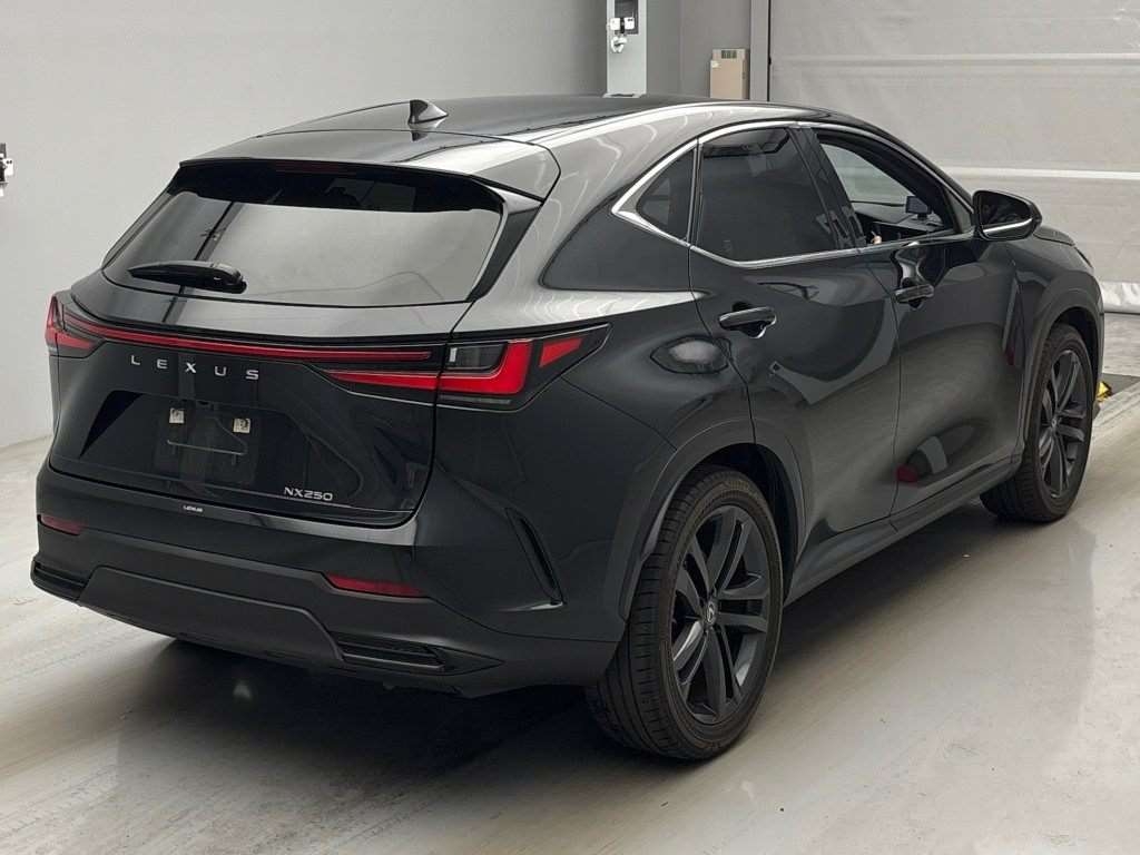 LEXUS NX250