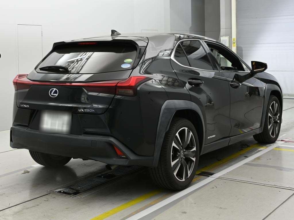 LEXUS UX250H