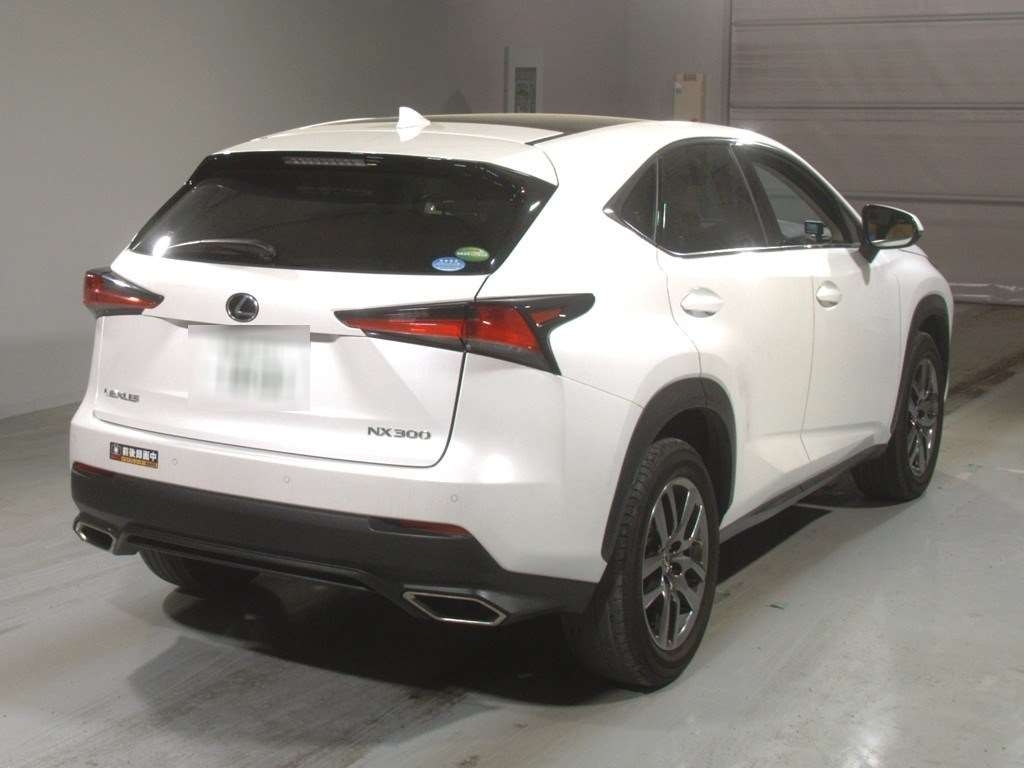 LEXUS NX300