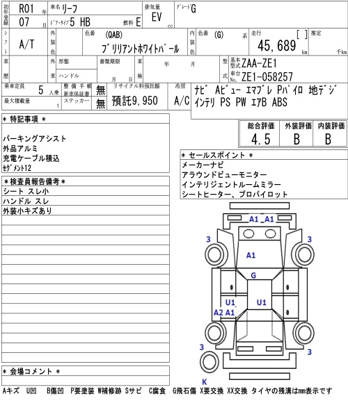 NISSAN LEAF