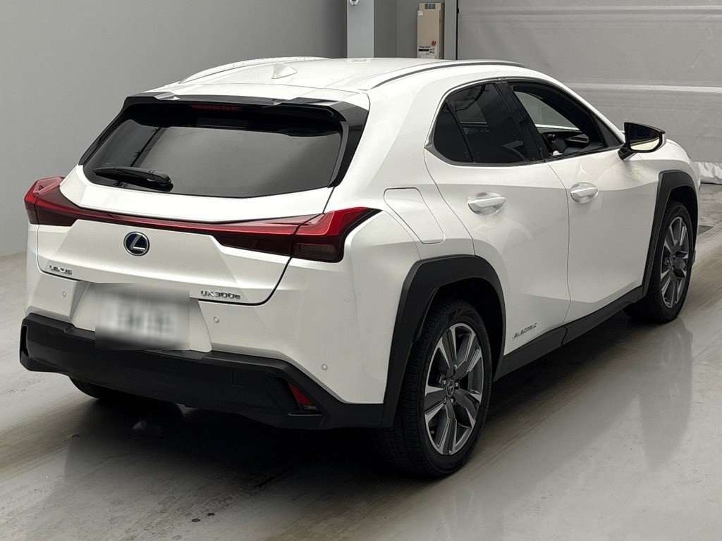 LEXUS UX300E
