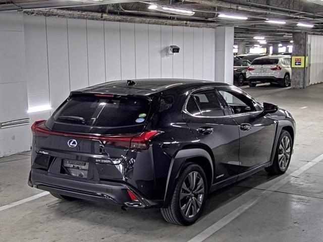 LEXUS UX250H