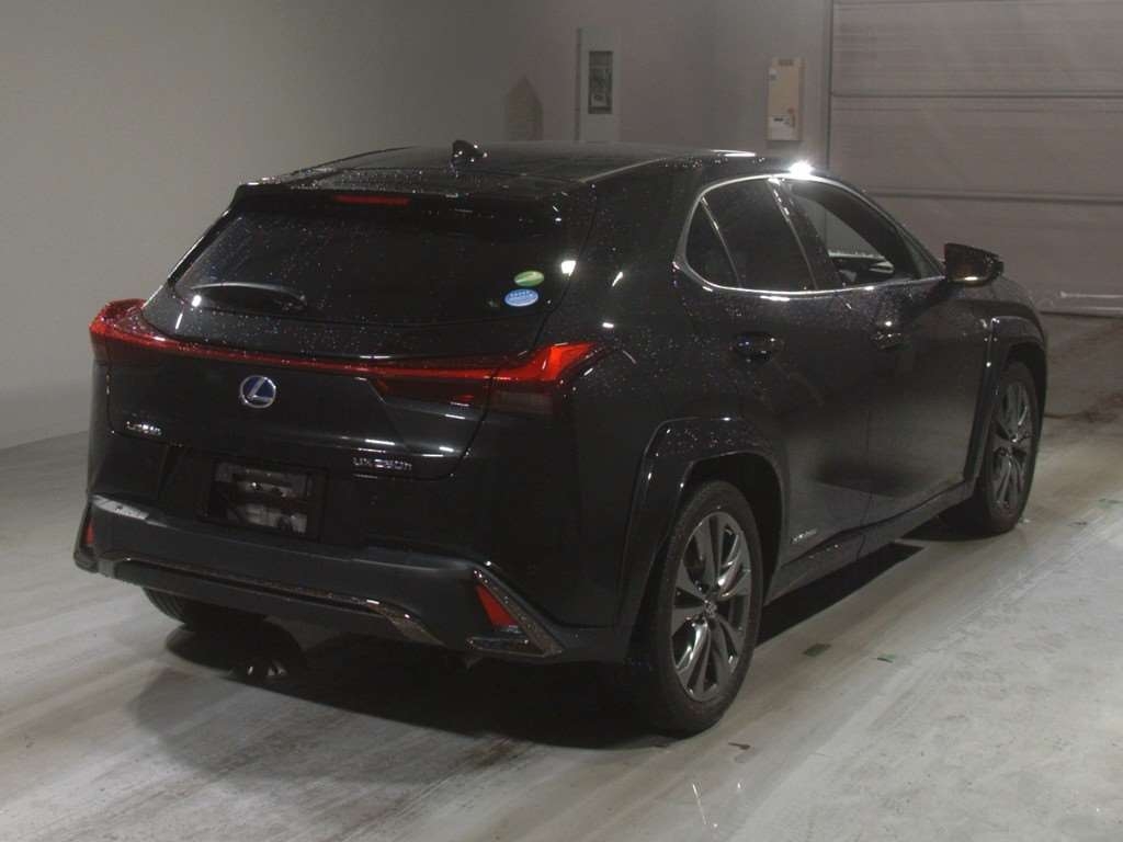LEXUS UX250H