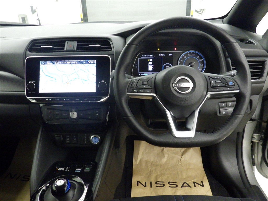 NISSAN LEAF