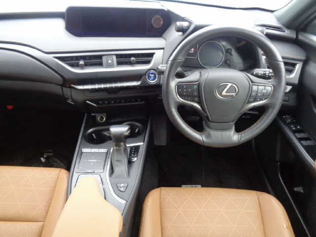 LEXUS UX250H