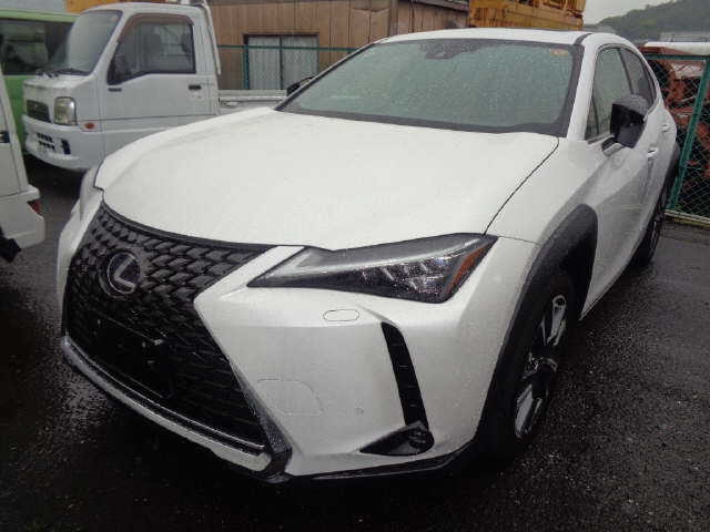 LEXUS UX250H