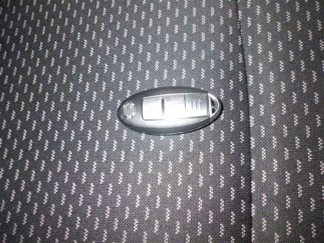 NISSAN DUALIS