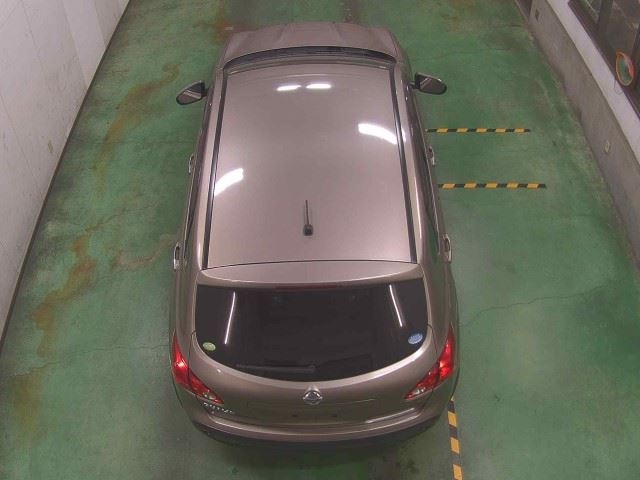NISSAN DUALIS