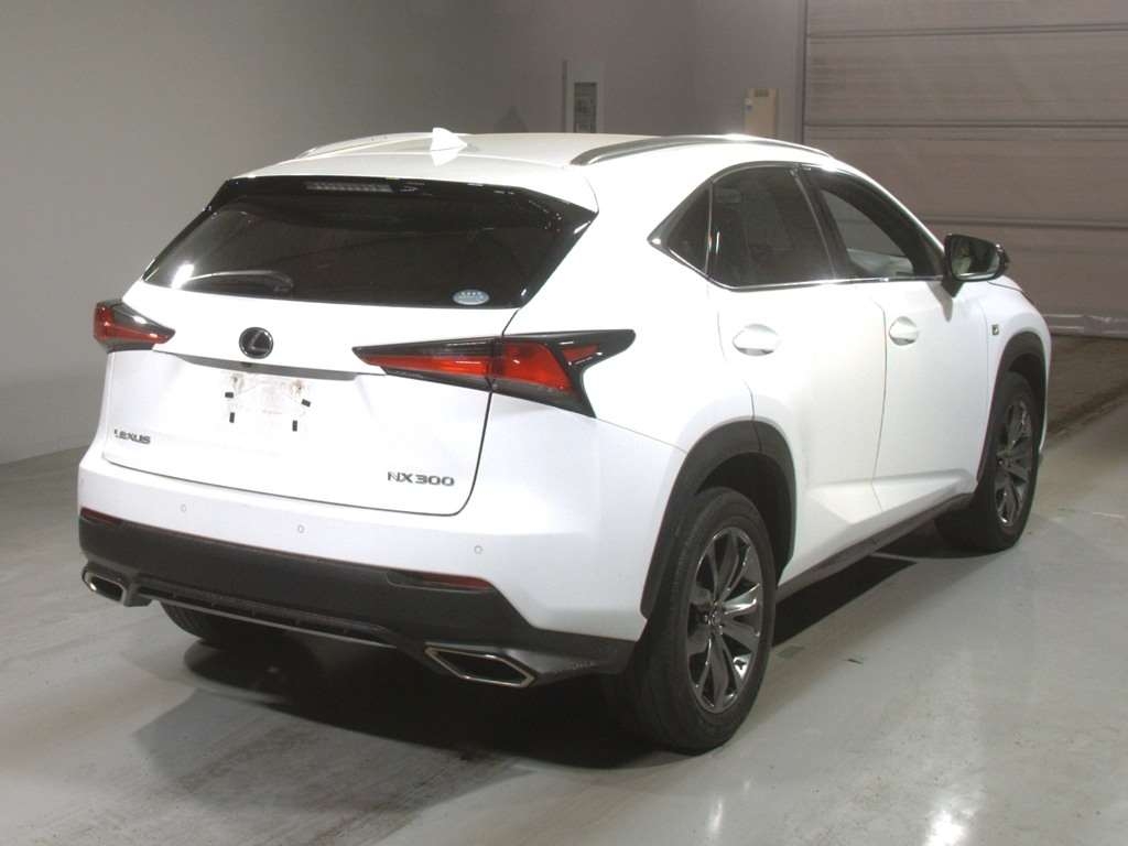 LEXUS NX300