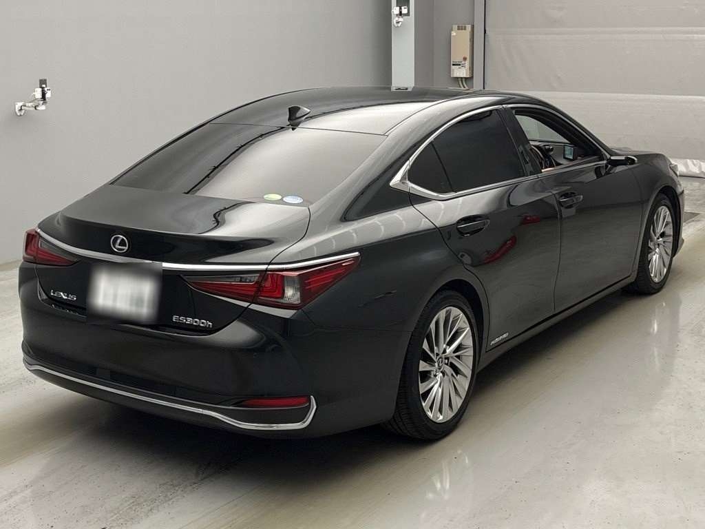 LEXUS ES300H