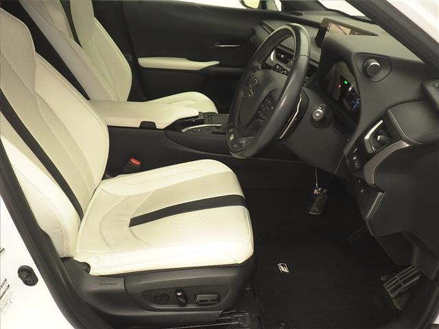 LEXUS UX250H