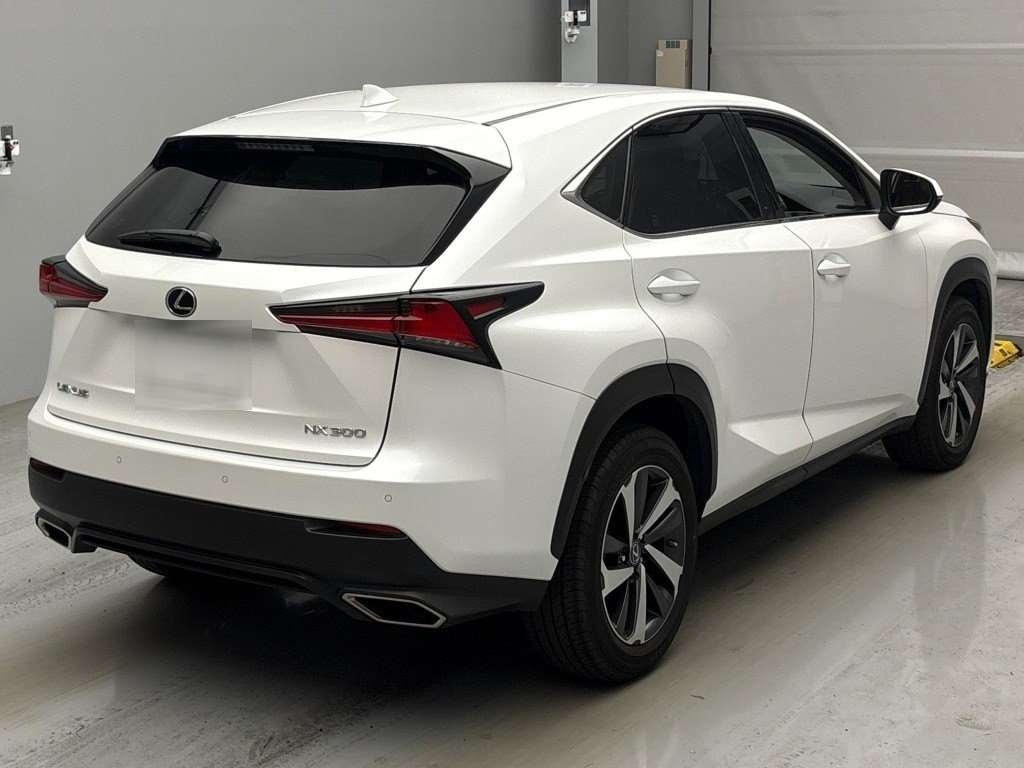 LEXUS NX300
