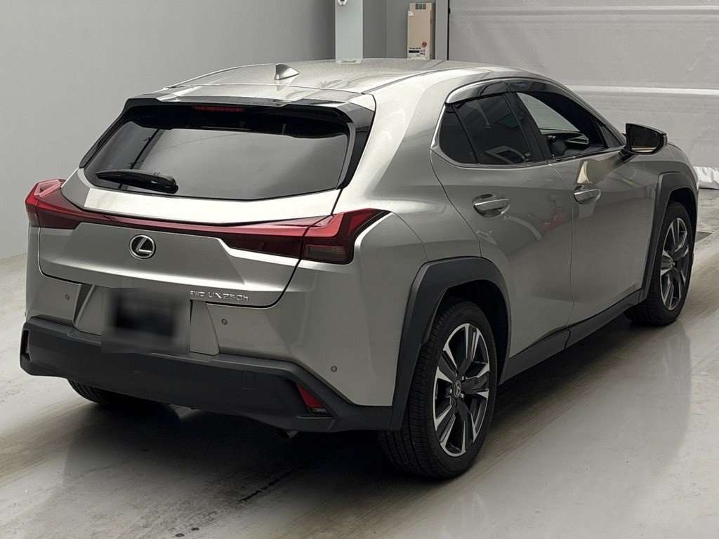 LEXUS UX250H