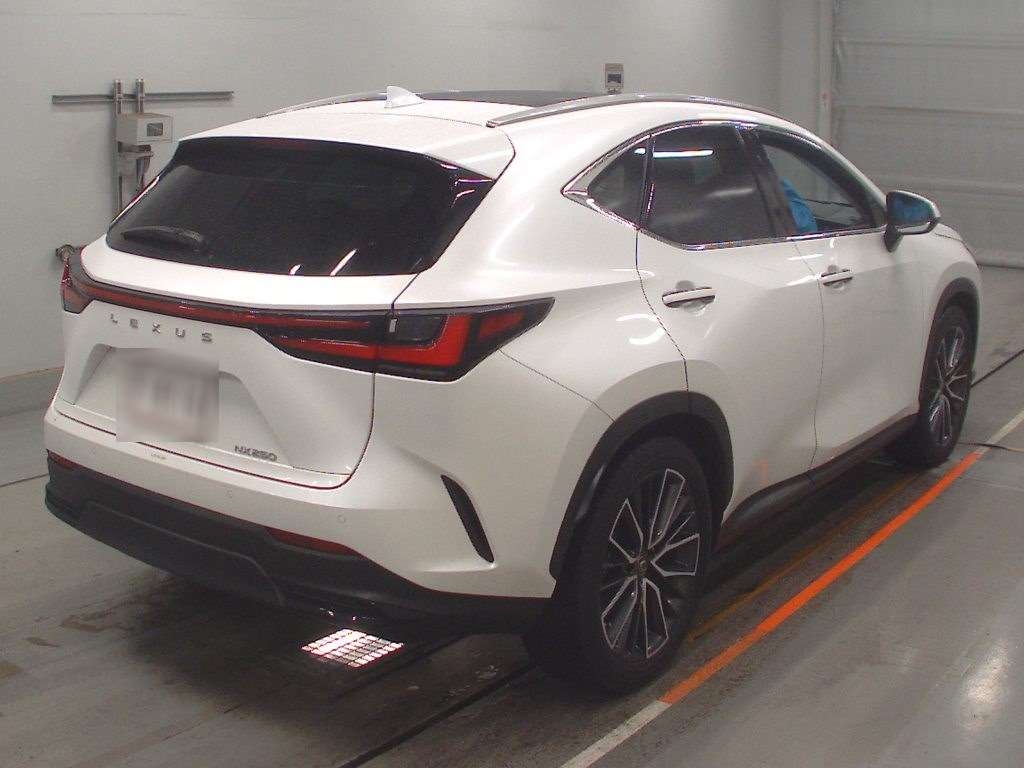 LEXUS NX250