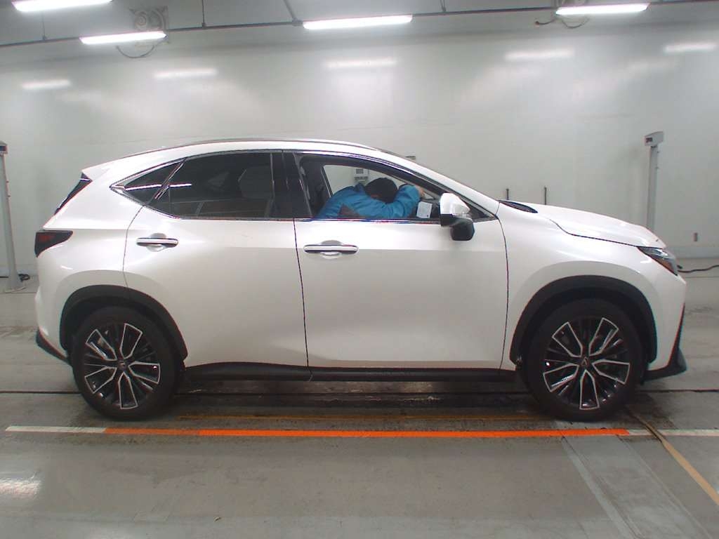LEXUS NX250