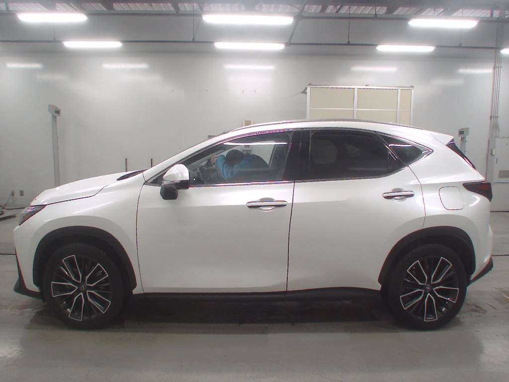 LEXUS NX250