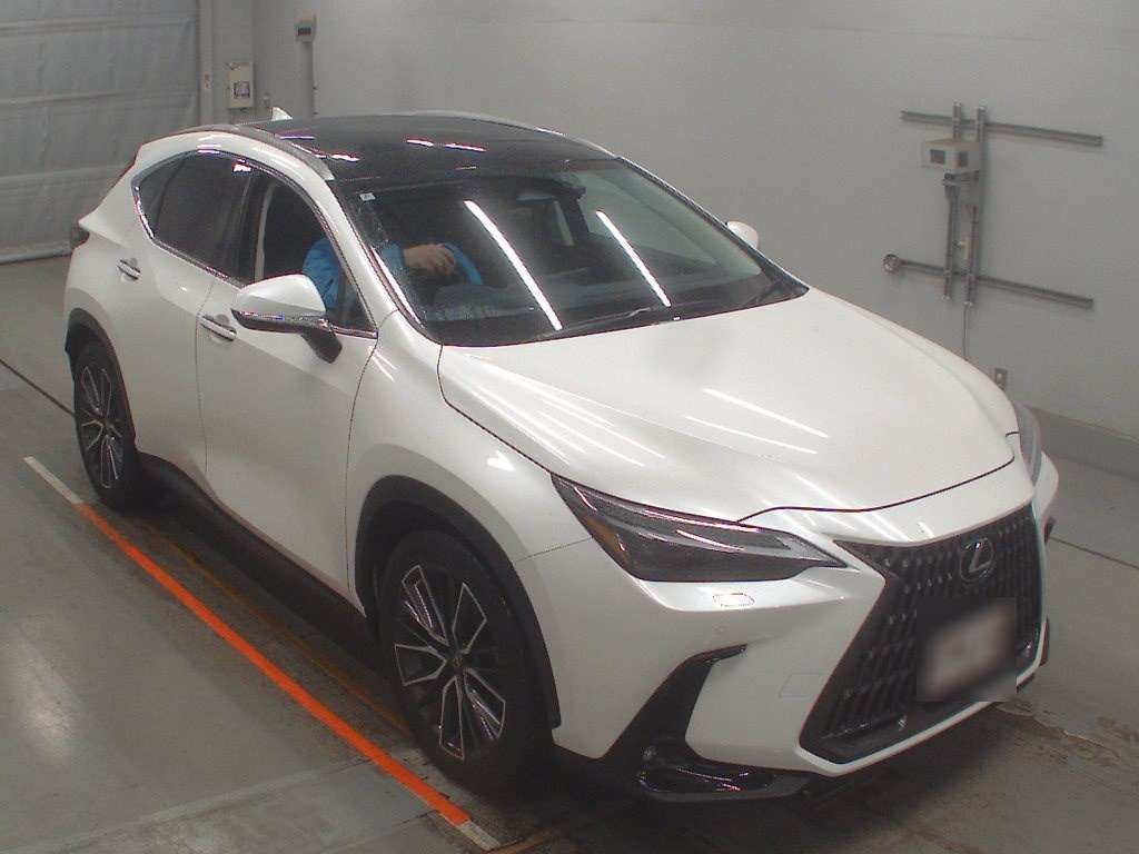 LEXUS NX250