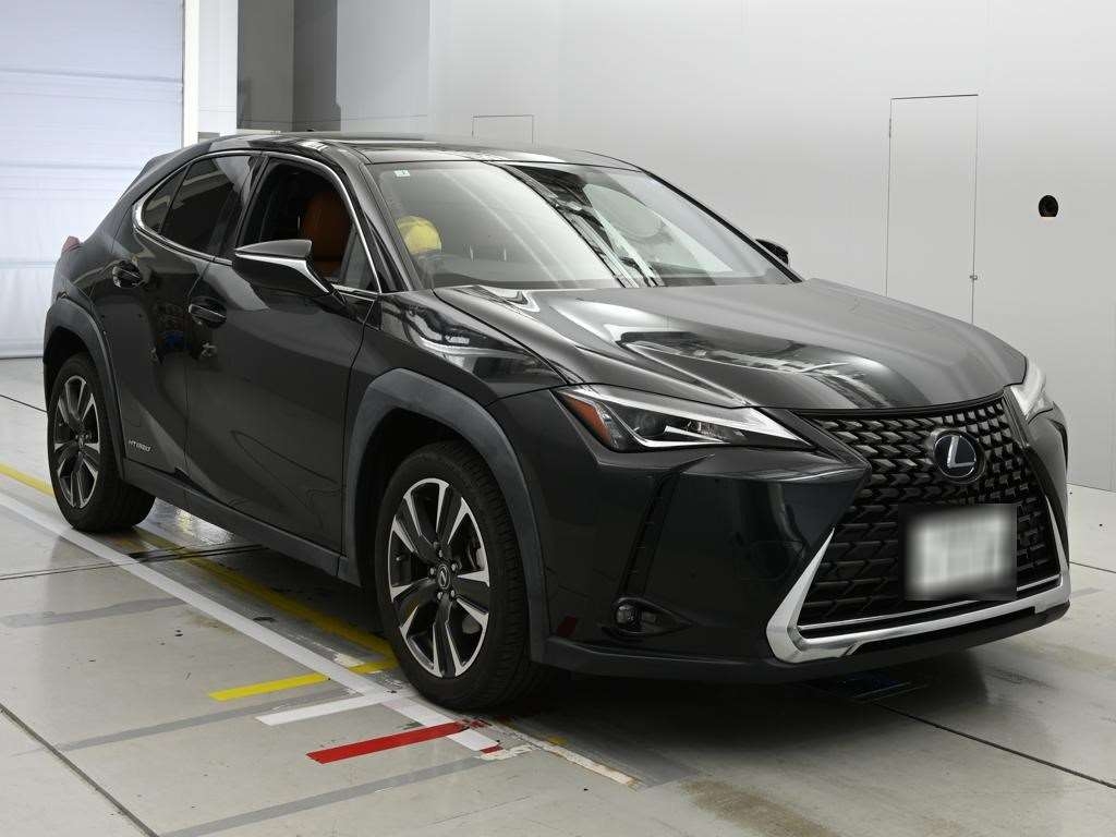 LEXUS UX250H