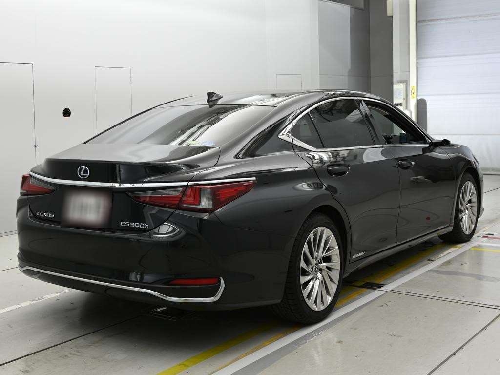 LEXUS ES300H
