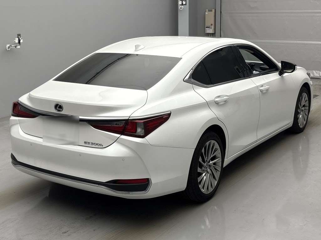 LEXUS ES300H