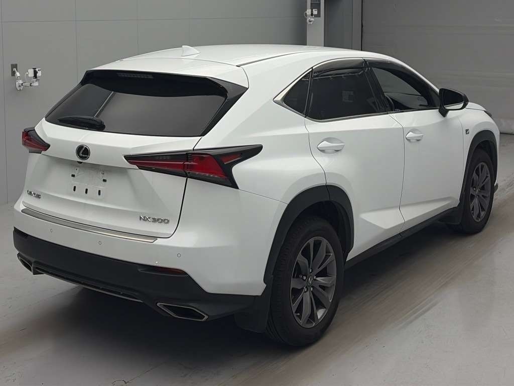 LEXUS NX300