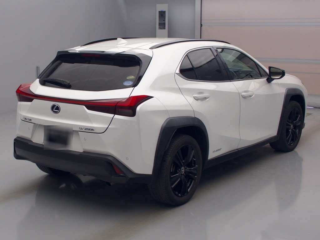 LEXUS UX250H