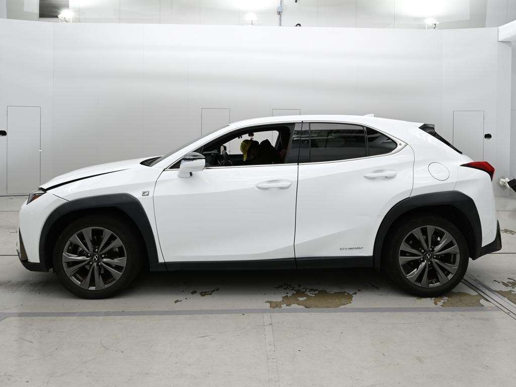 LEXUS UX250H