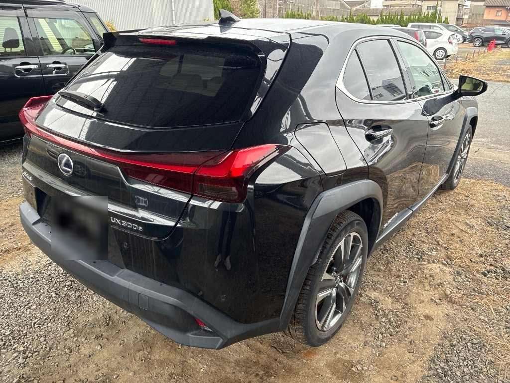 LEXUS UX300E