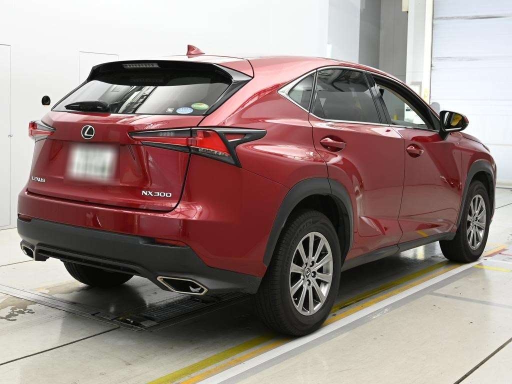 LEXUS NX300