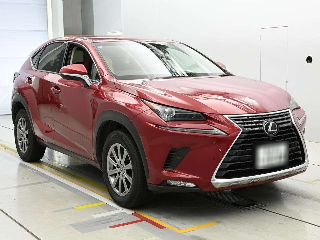LEXUS NX300